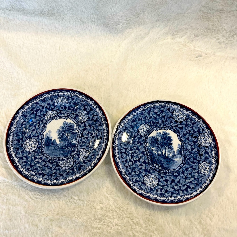 Set of 2 antique Villeroy & Boch collector plate